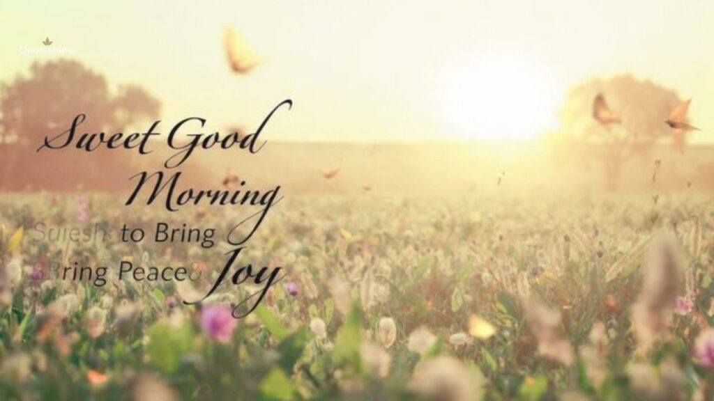 Tuesday Morning Greetings